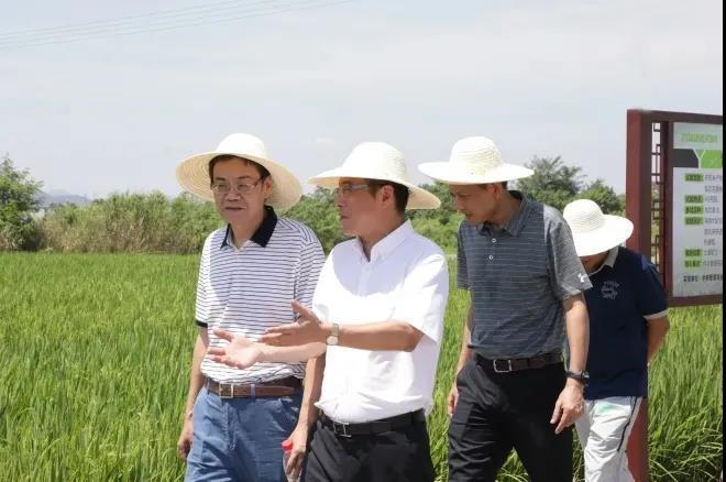 金狮贵宾会·宾至如归-尊贵显赫