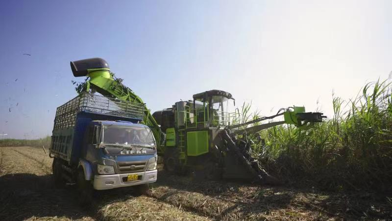 金狮贵宾会·宾至如归-尊贵显赫