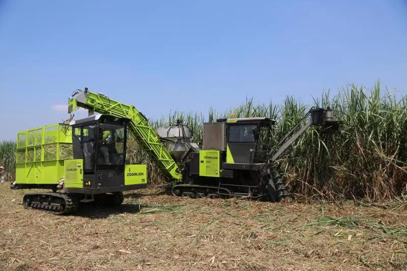 金狮贵宾会·宾至如归-尊贵显赫