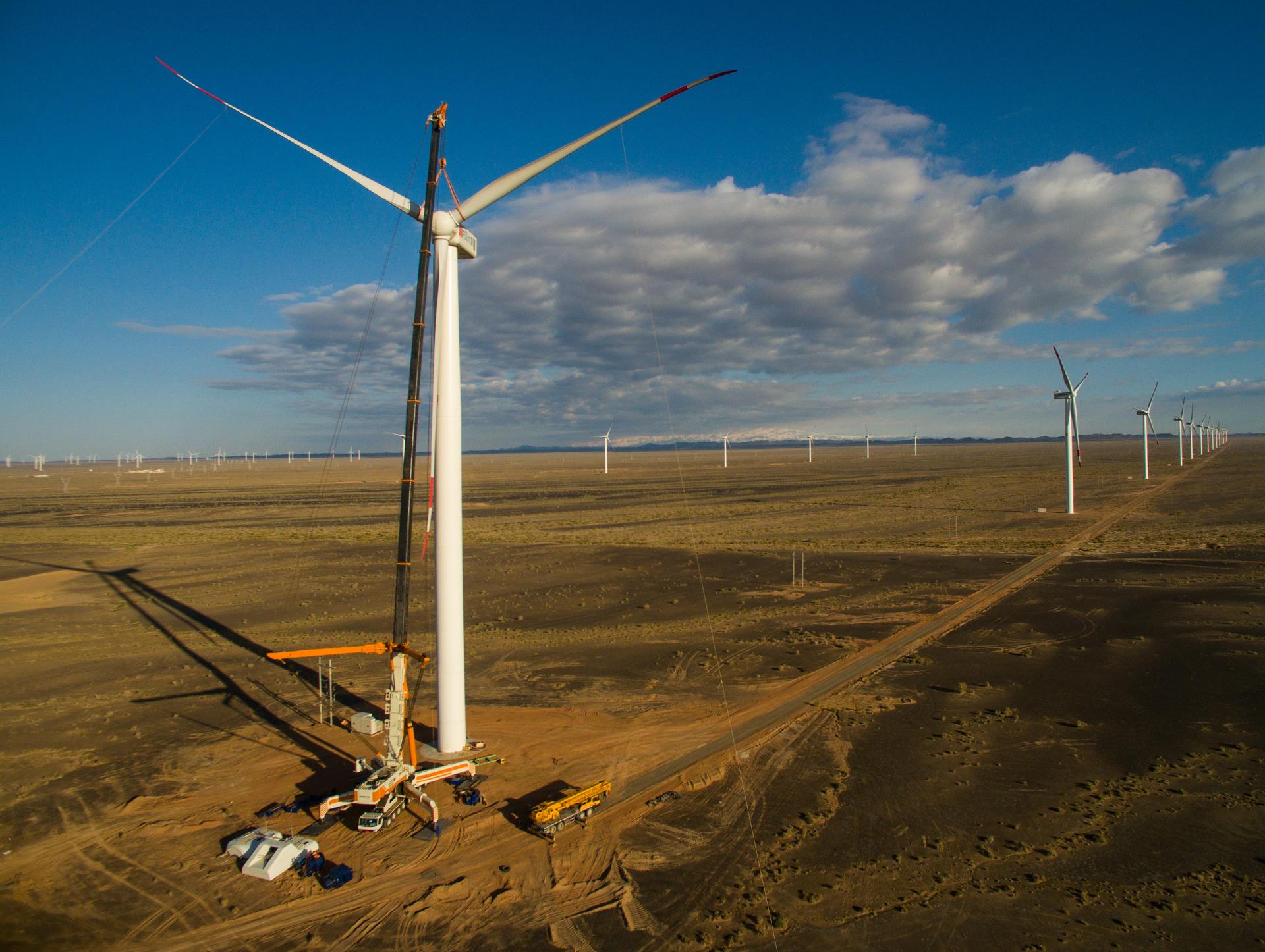 金狮贵宾会重科