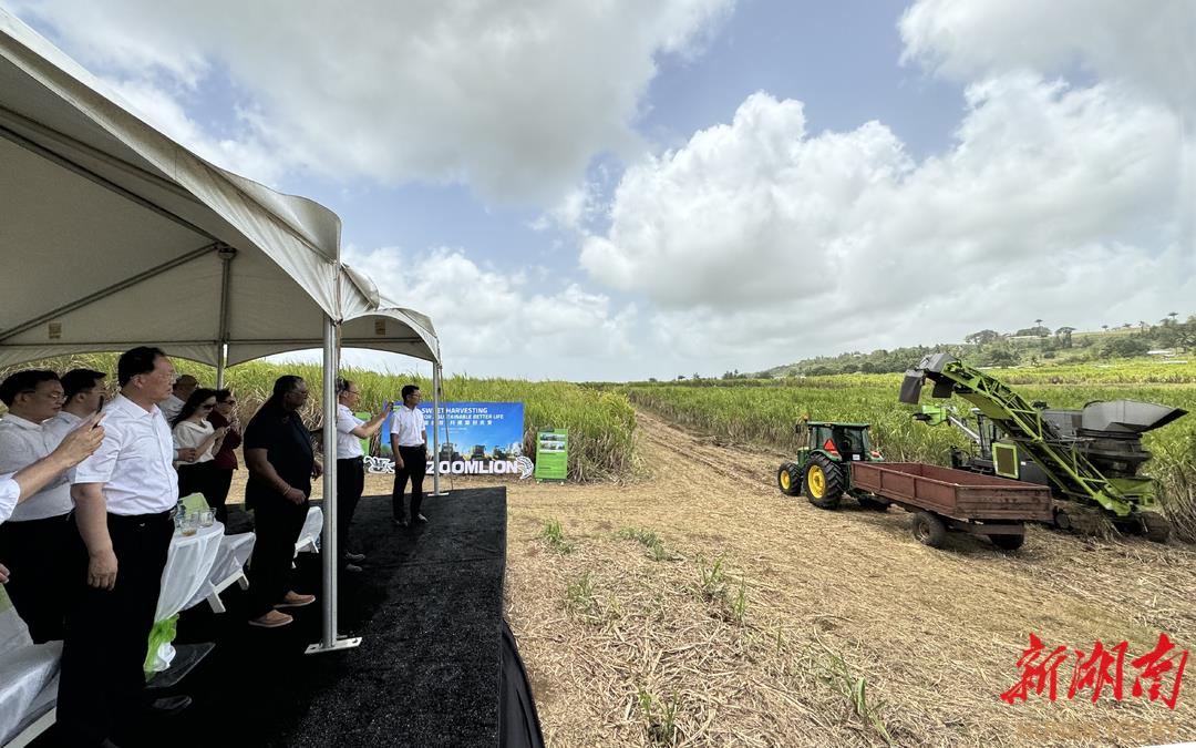 金狮贵宾会·宾至如归-尊贵显赫