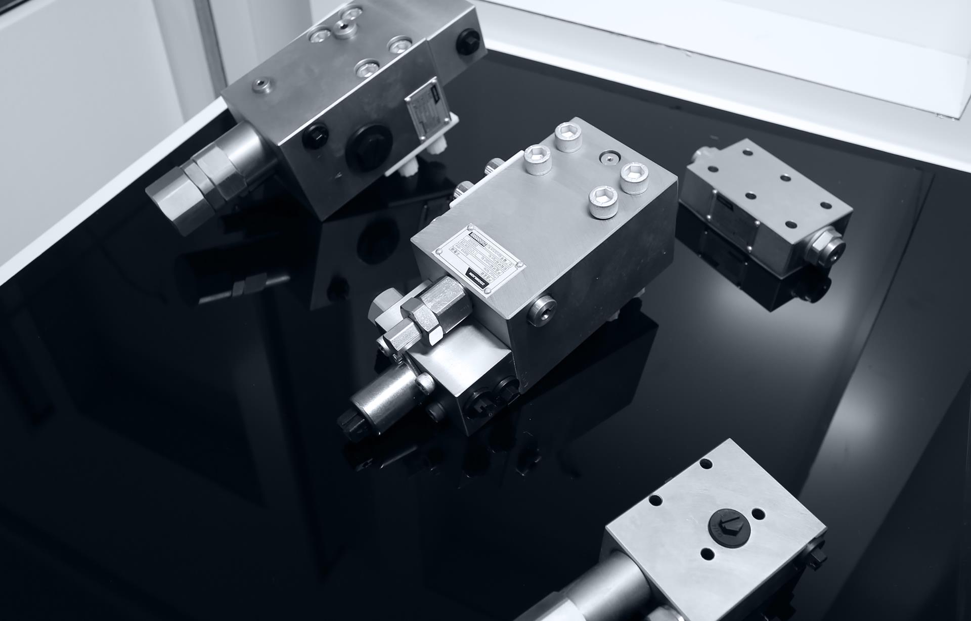 金狮贵宾会·宾至如归-尊贵显赫