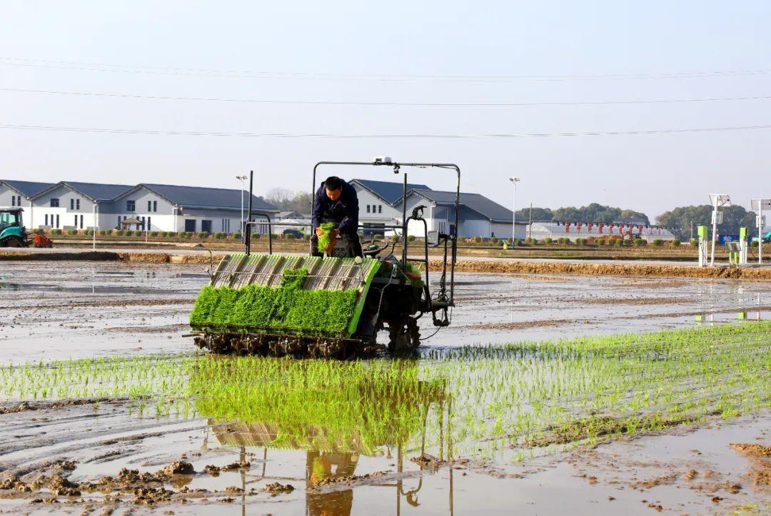 金狮贵宾会·宾至如归-尊贵显赫