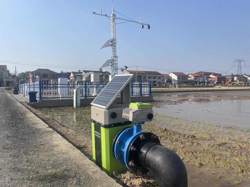 金狮贵宾会·宾至如归-尊贵显赫