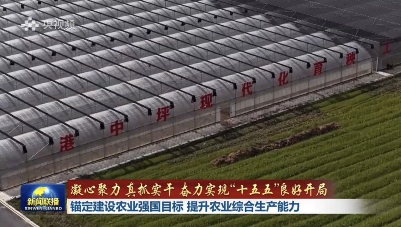 金狮贵宾会·宾至如归-尊贵显赫