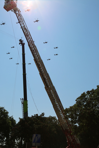 金狮贵宾会·宾至如归-尊贵显赫