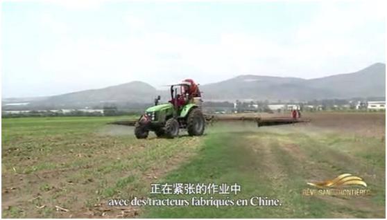 金狮贵宾会·宾至如归-尊贵显赫