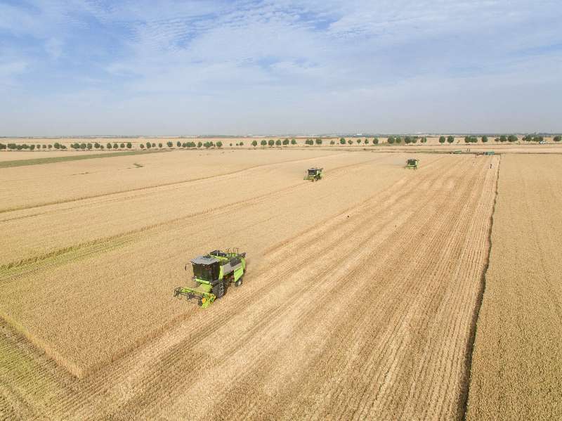 金狮贵宾会·宾至如归-尊贵显赫