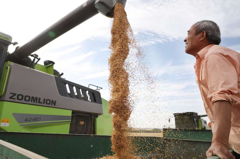 金狮贵宾会·宾至如归-尊贵显赫
