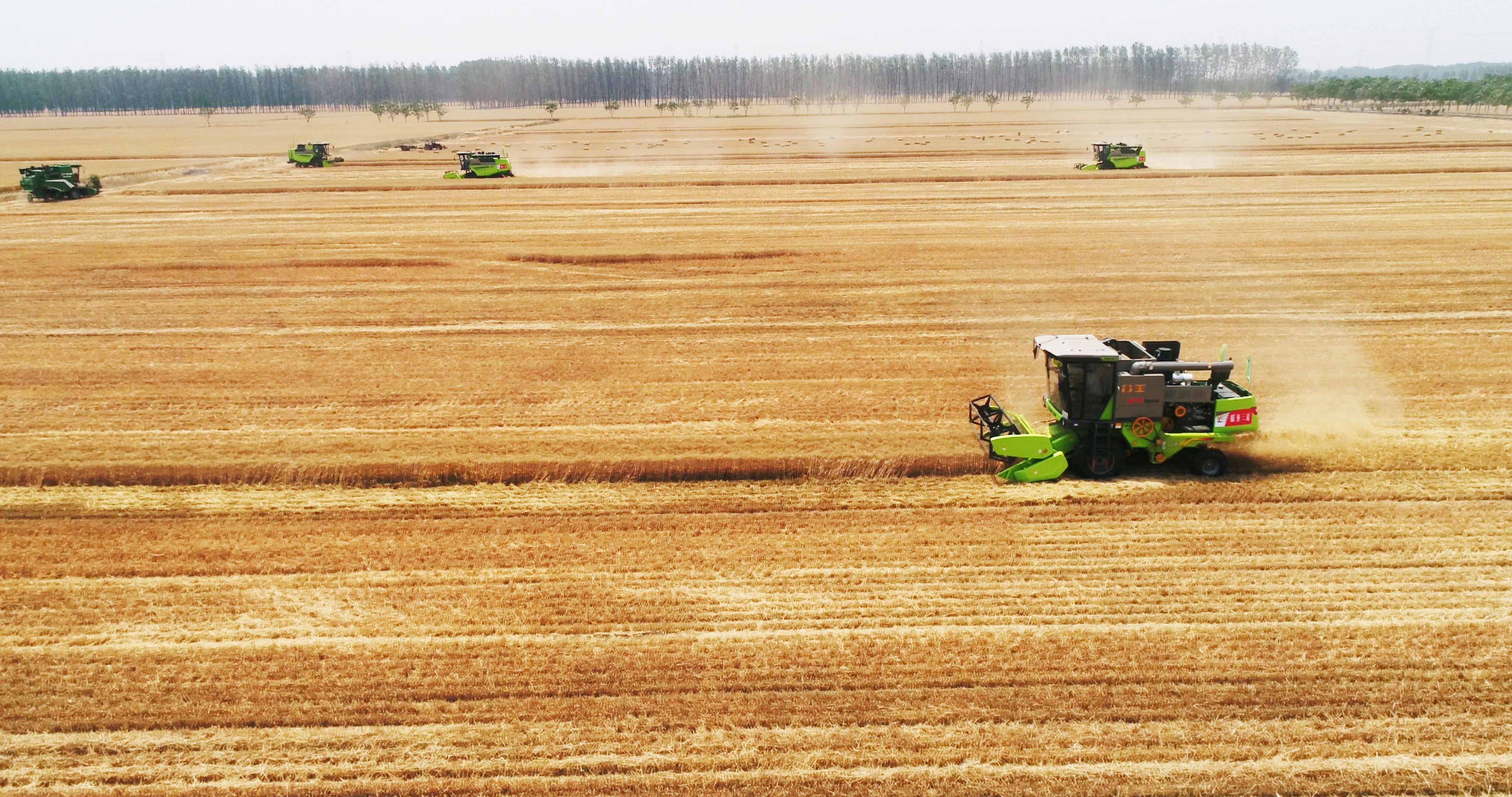 金狮贵宾会·宾至如归-尊贵显赫