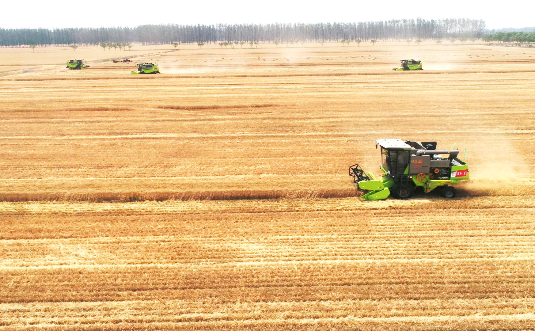 金狮贵宾会·宾至如归-尊贵显赫